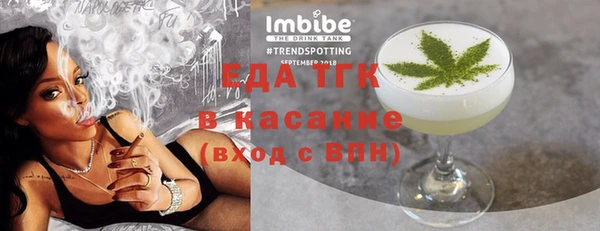 гидра Елабуга