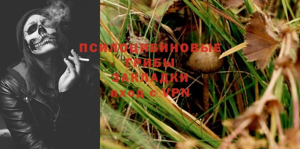 марихуана Заводоуковск