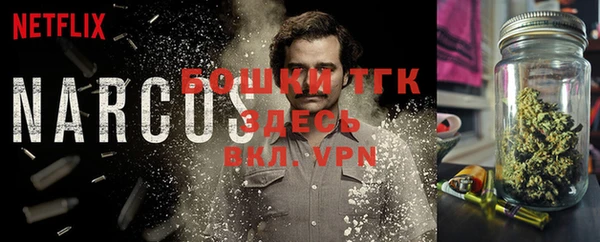 гидра Елабуга