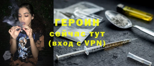 гидра Елабуга