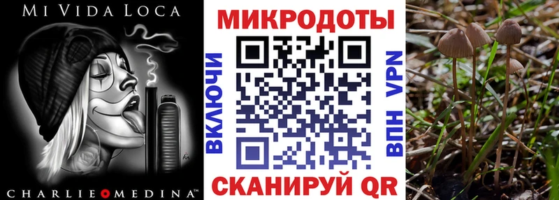 Псилоцибиновые грибы мицелий  Купить где  Луга 